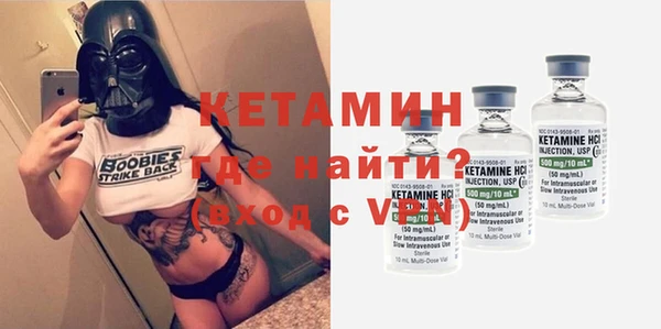 стаф Аркадак