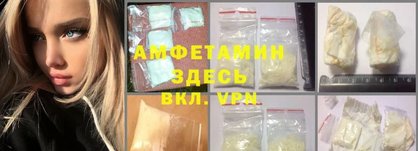 стаф Аркадак