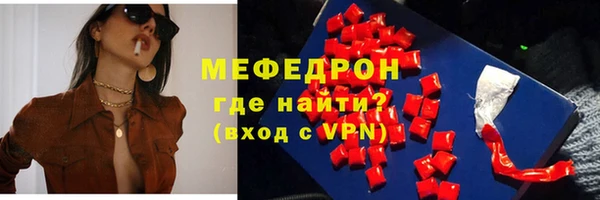 стаф Аркадак