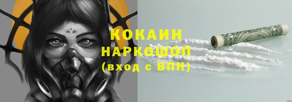 стаф Аркадак