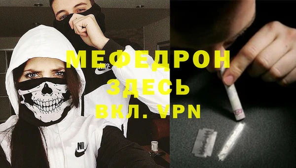 стаф Аркадак