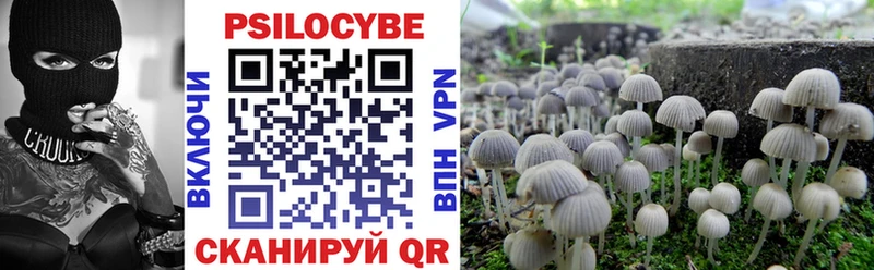 Псилоцибиновые грибы MAGIC MUSHROOMS  Купить  Приморско-Ахтарск 